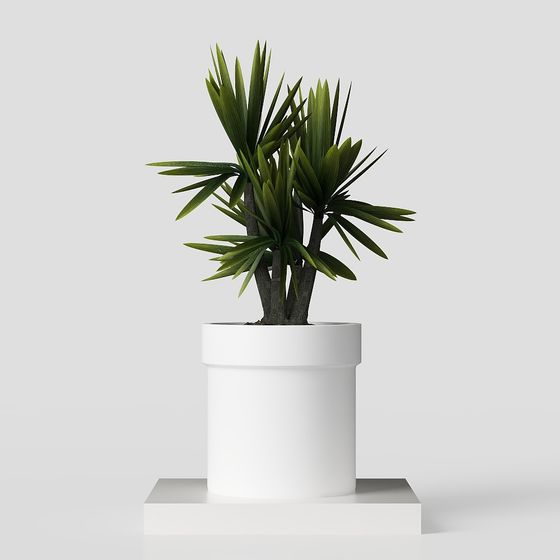 Stylish Indoor Green Plant 3D model