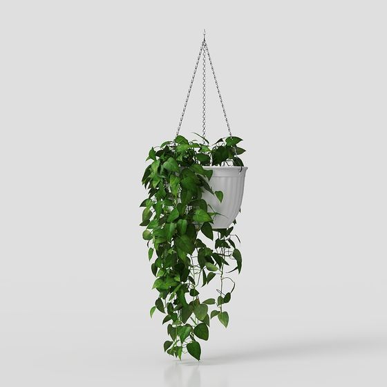 Hanging Plant 3D Model Bringing Nature Indoors