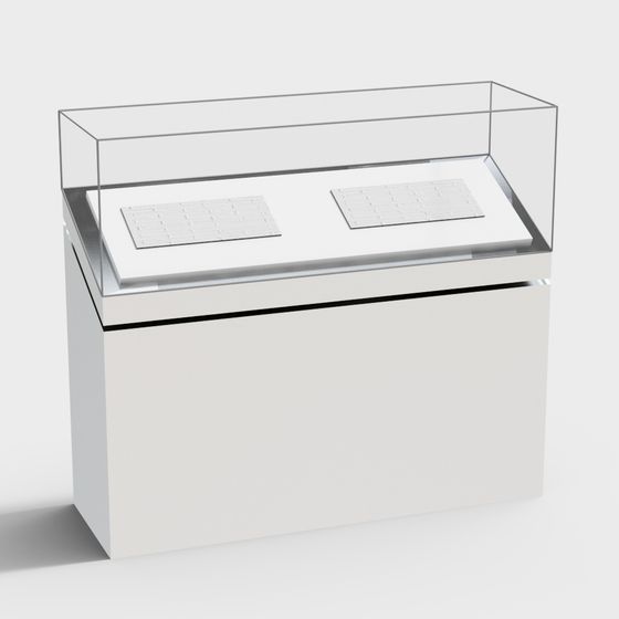 Elegant Minimalist Display Cabinet 3D model