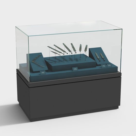 Low Poly Museum Display Case 3D model