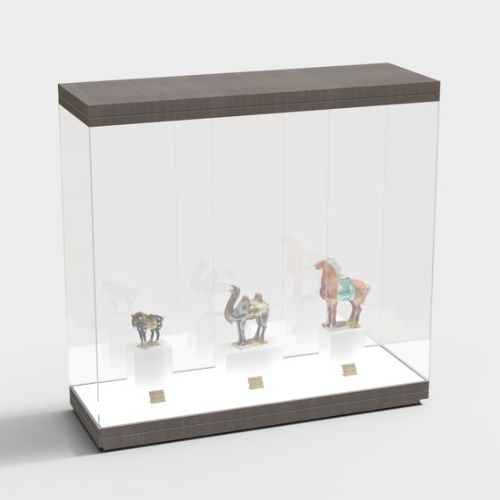 Historical Museum Display Case 3D model