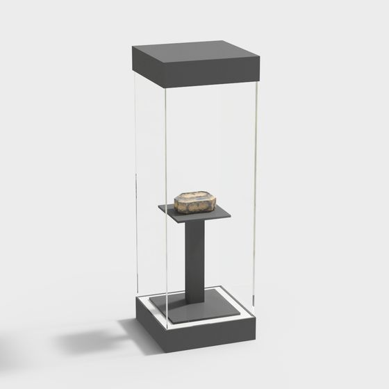 Museum Display Cabinet 3D model