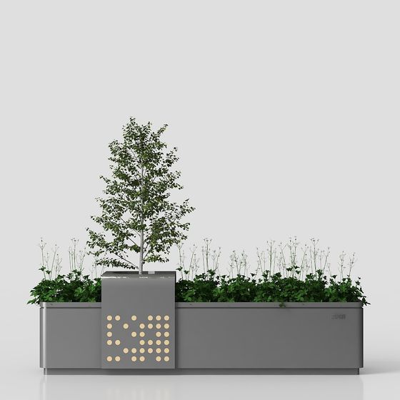 บอนไซในสวนสไตล์โมเดิร์น