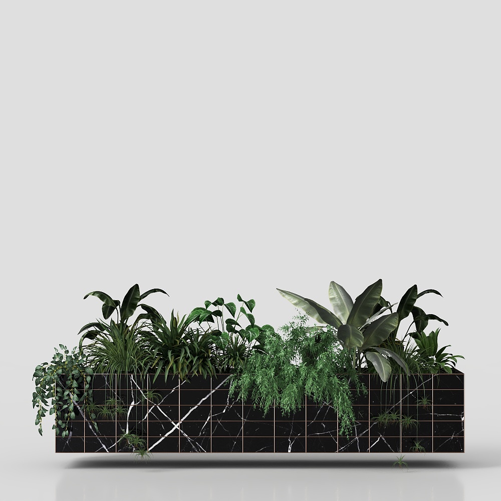 Простые комнатные растения для офиса