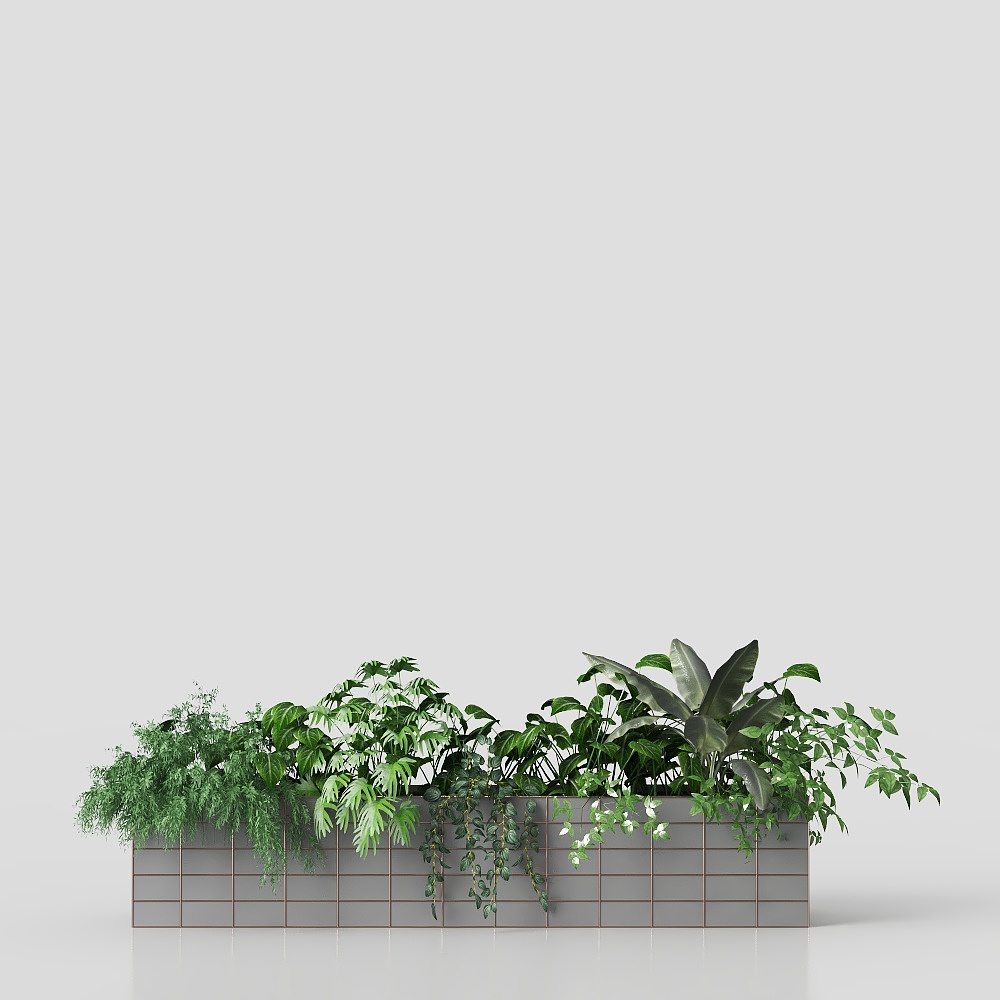 Plantes en pot sur balcon modernes