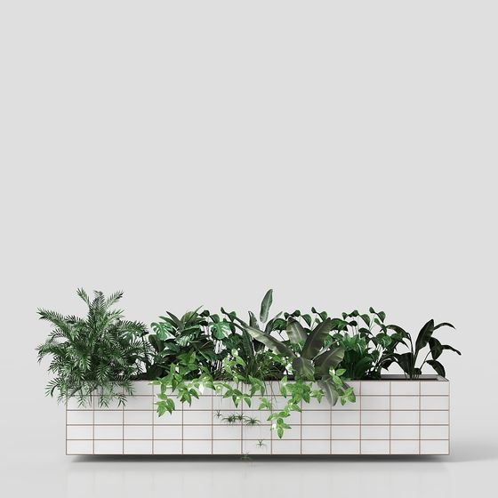 บริษัทต้นไม้กระถางสมัยใหม่