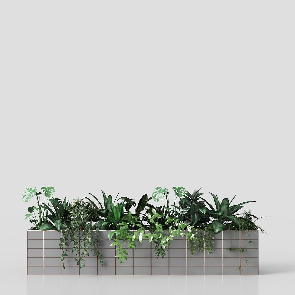 Modern potted plants in buildings