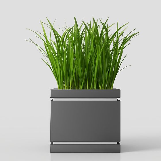 現代客廳花圃盆栽