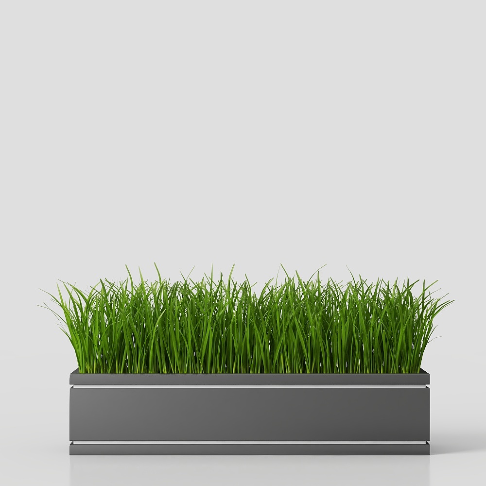 กระถางต้นไม้สมัยใหม่ Campus