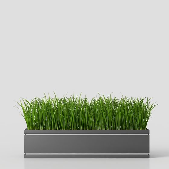 กระถางต้นไม้สมัยใหม่ Campus