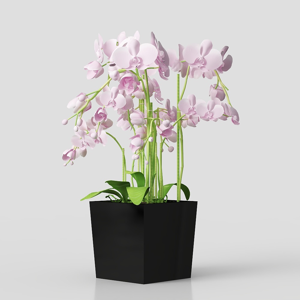 Chậu hoa hiện đại cảnh quan ngoài trời