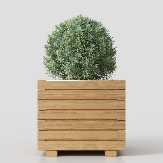 Minimalist Wooden Planter and Plant Combination 3D model