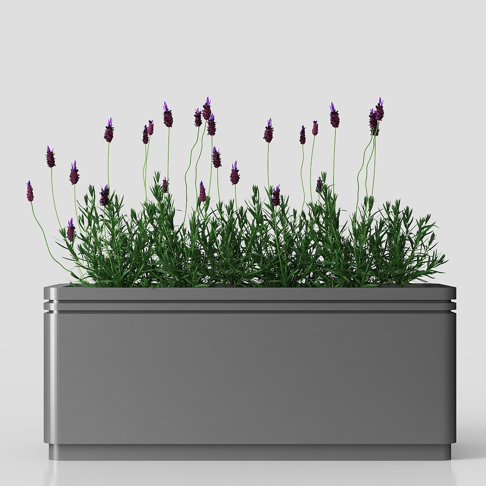 Boîte de fleurs mobile pour le salon moderne