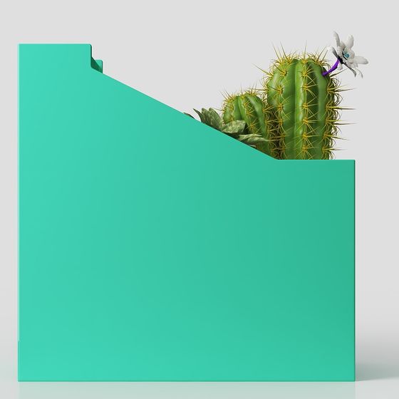 Cactus Corner 3D model - Low Poly Plant Design