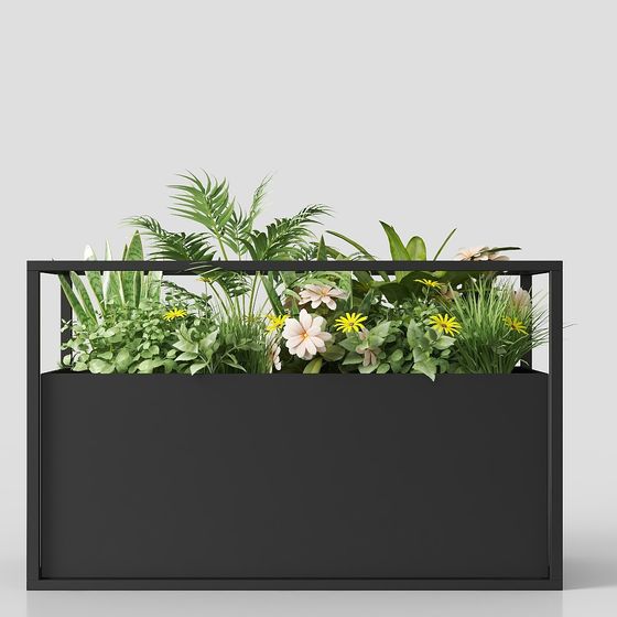 Cây bonsai ở góc phố hiện đại