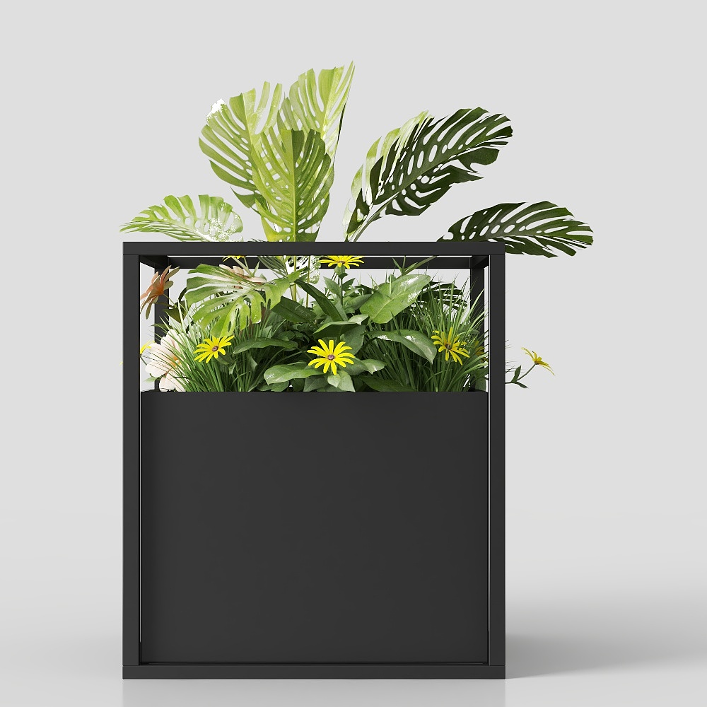 บอนไซในสวนสไตล์โมเดิร์น