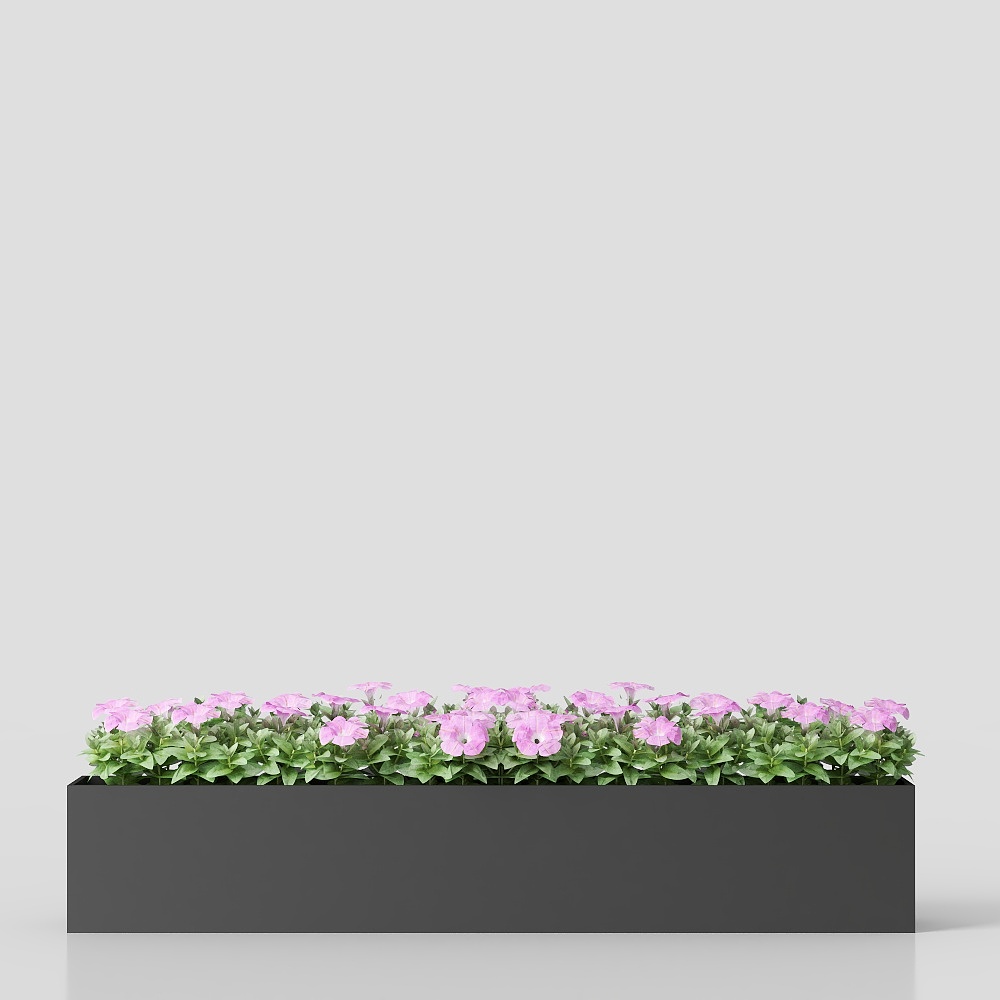 Caja de flores de moda para jardín