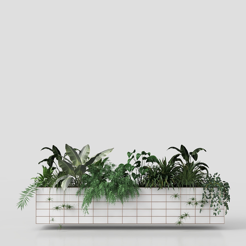 Plantes en pot modernes dans le salon