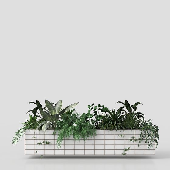 Plantes en pot modernes dans le salon