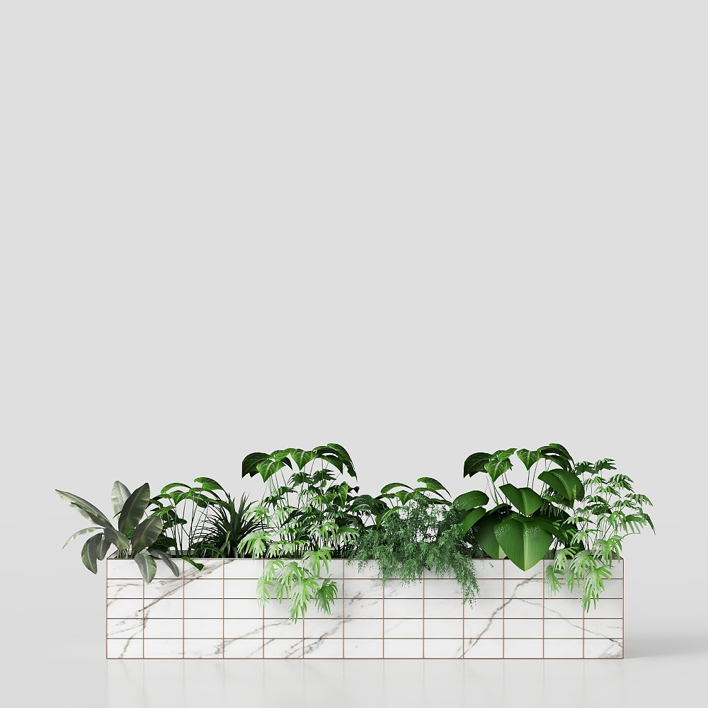 Simple potted plants in the living room
