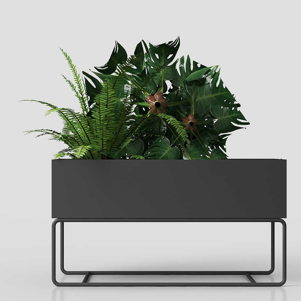 Stylish plant stand for living room
