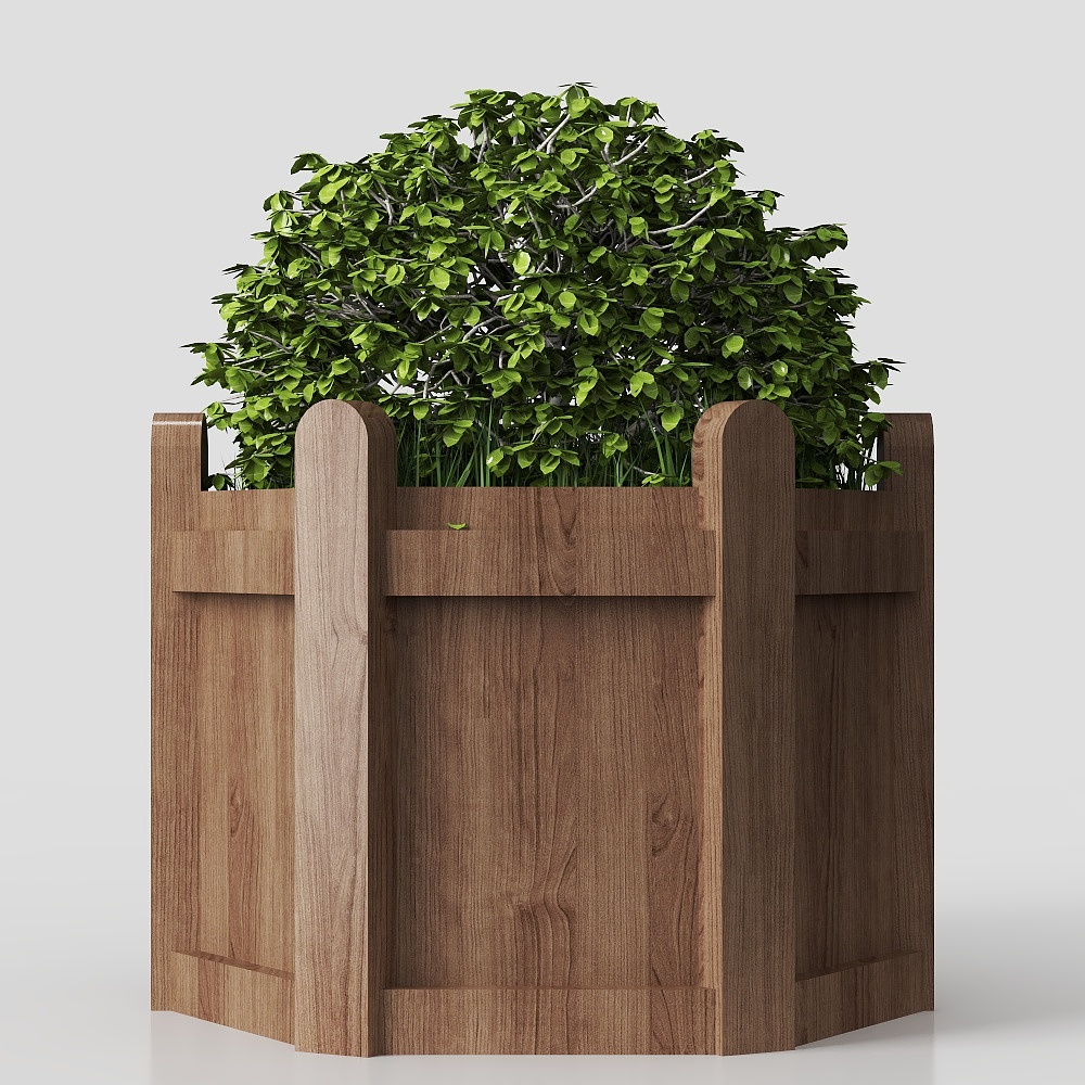 モダン中庭の庭