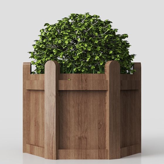 モダン中庭の庭