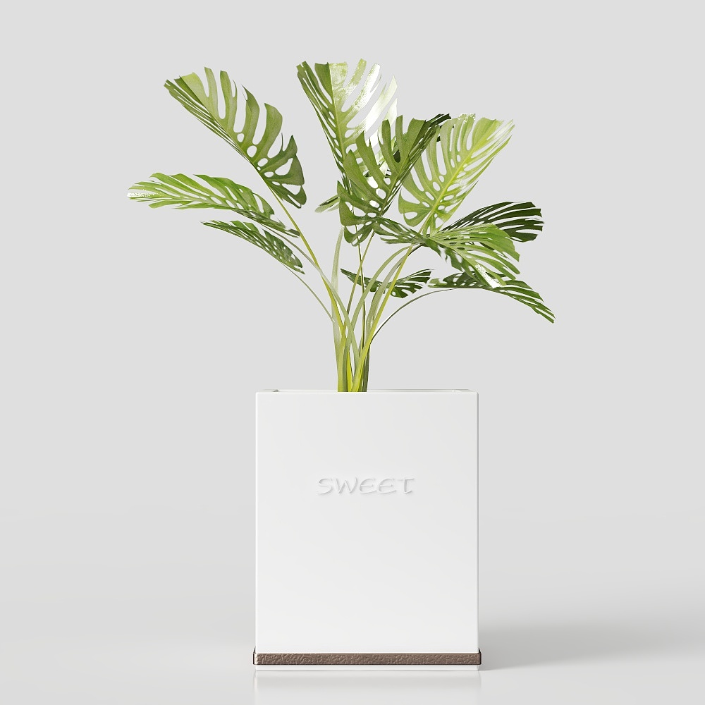 ต้นไม้ปลูกในกระถางสไตล์โมเดิร์นในสวน