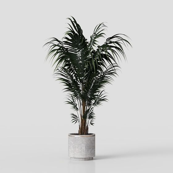 Vibrant Tropical Palm Tree 3D model