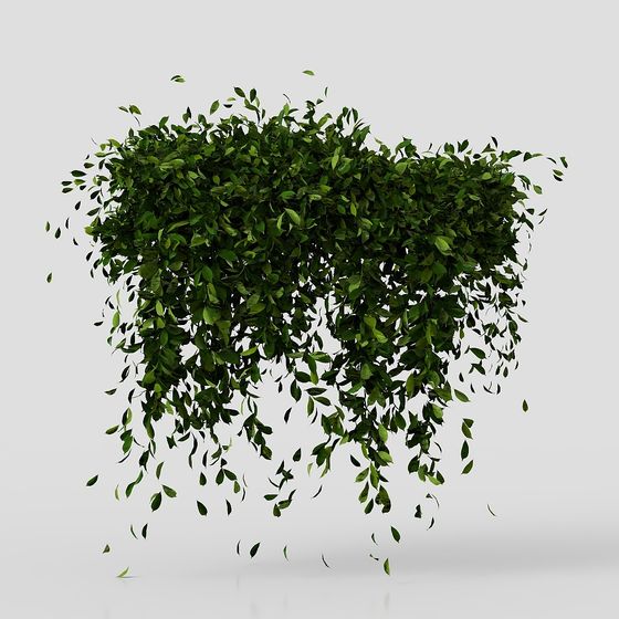 Hanging Plants 3D Model for Designers and Developers