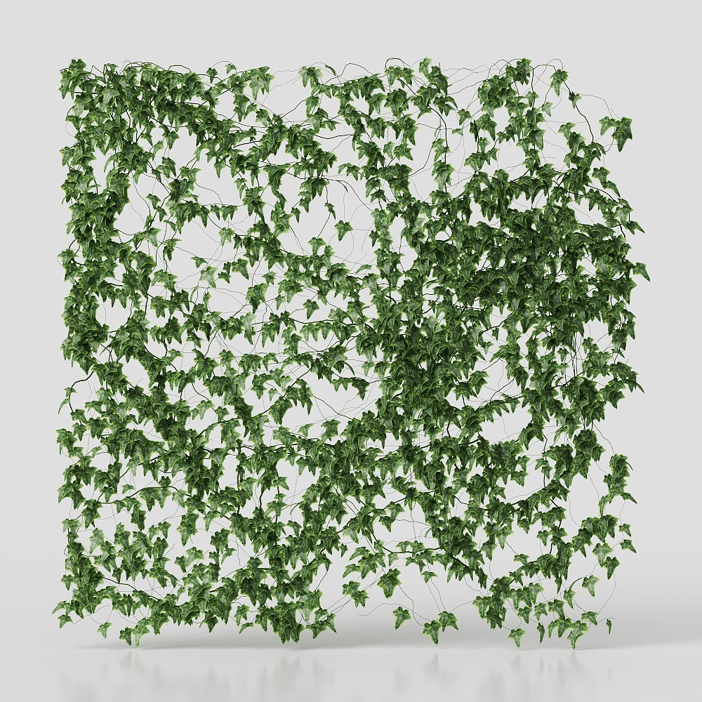 Plant shellwall