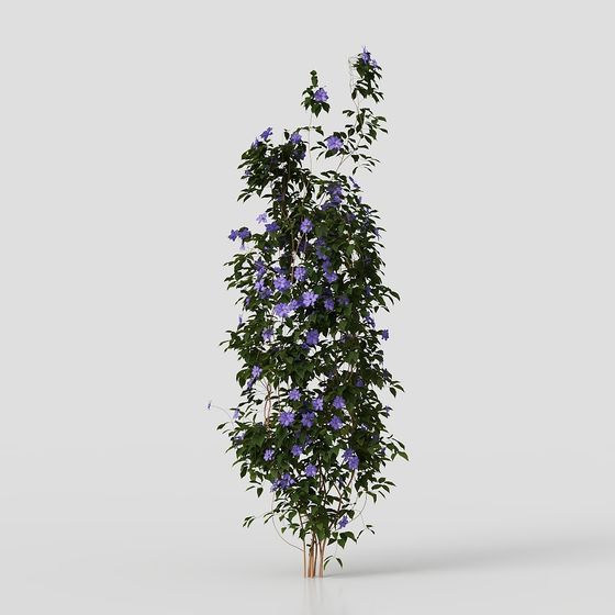 Wisteria Waterfall 3D model