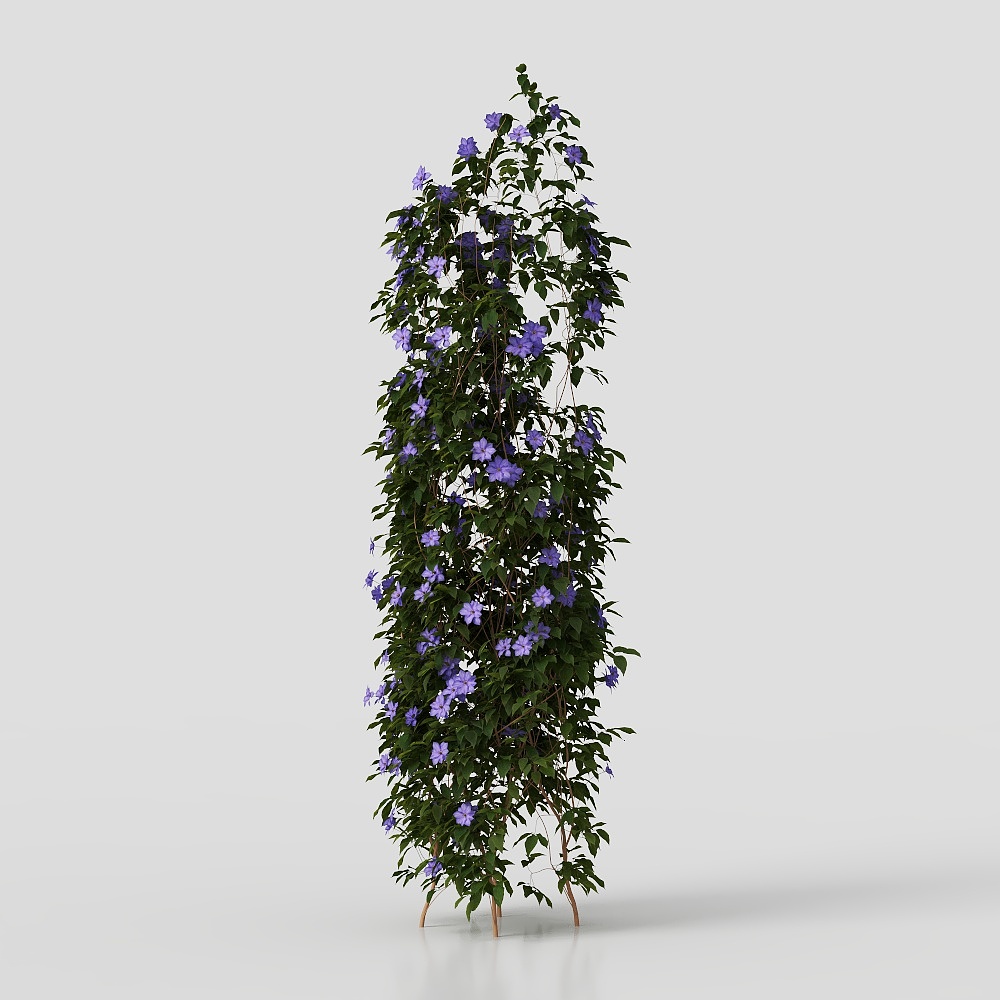 เถาวัลย์ในสวน