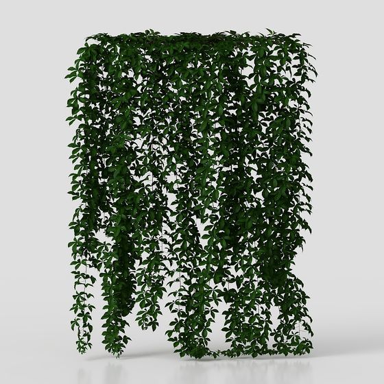 Climbing Plant Wall 3D model for Creative Projects