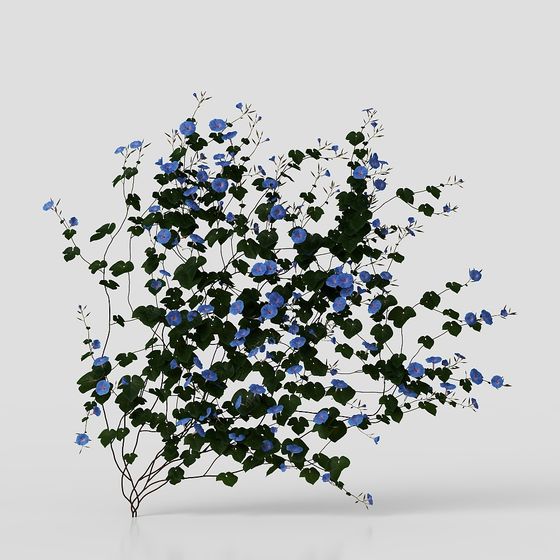 Morning Glory Garden 3D Model