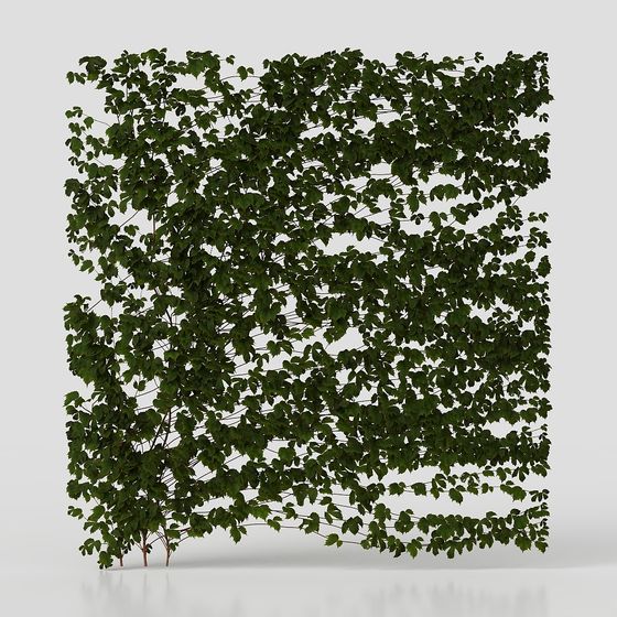 Vine Wall 3D Model - Nature Meets Art