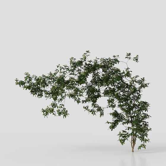 Garden Tree Low-Poly 3D model for Creative Projects