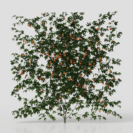 Sycamore Tree 3D Model – Nature Meets Modern Design