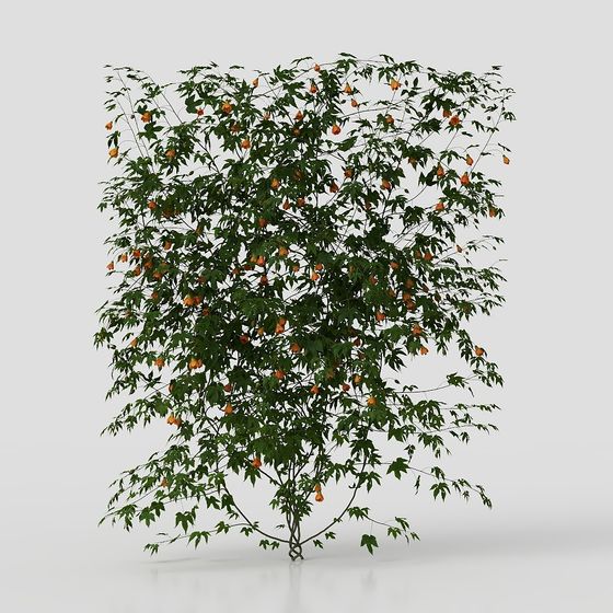Elegant Sycamore Tree 3D Model for Creative Projects