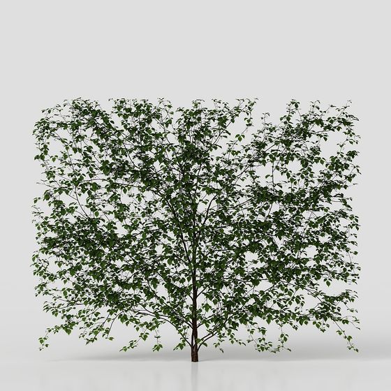 เถาวัลย์