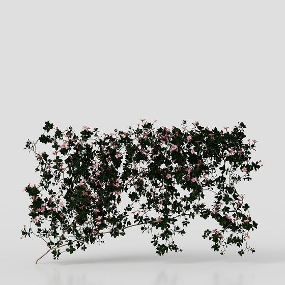 Vibrant Climbing Plant 3D Model