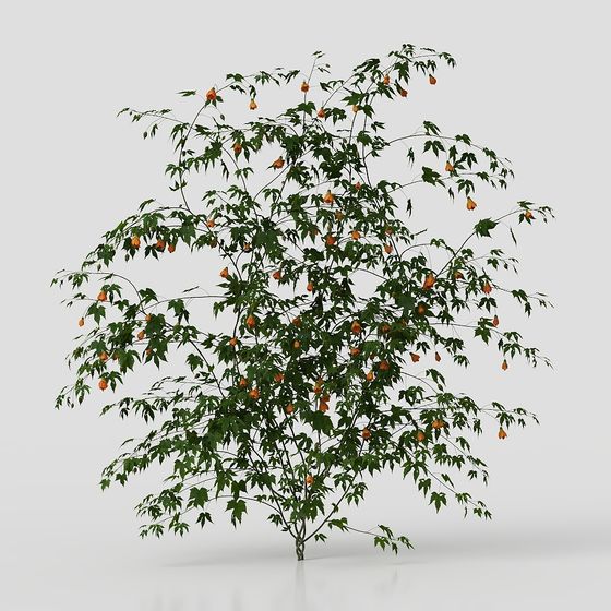 Vibrant Orange Bellflower Tree 3D model