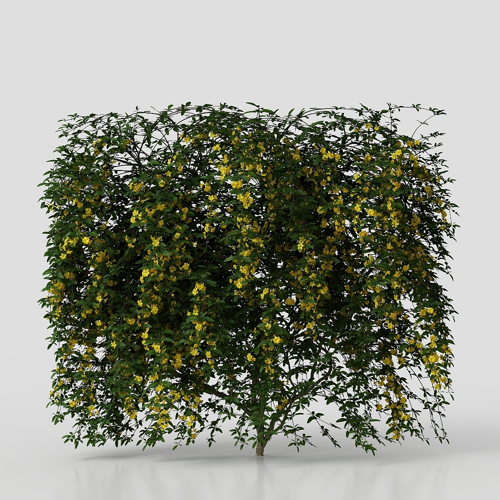 Plant potting/plant wall