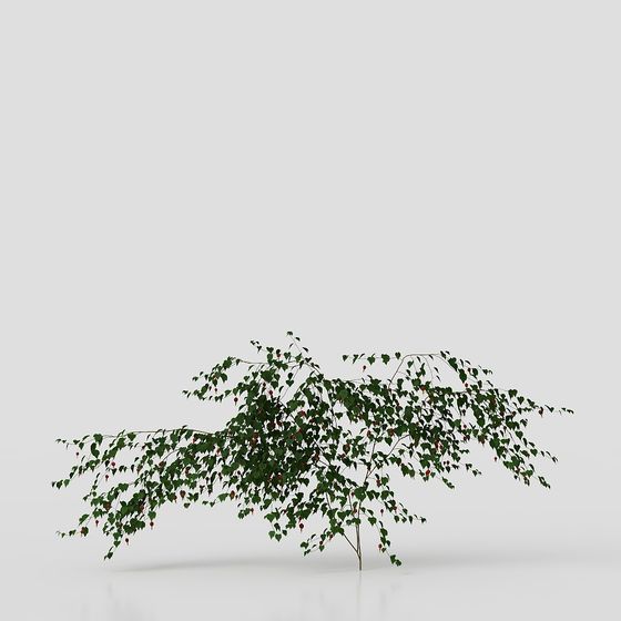 Vine Spirit Low Polygon 3D Model