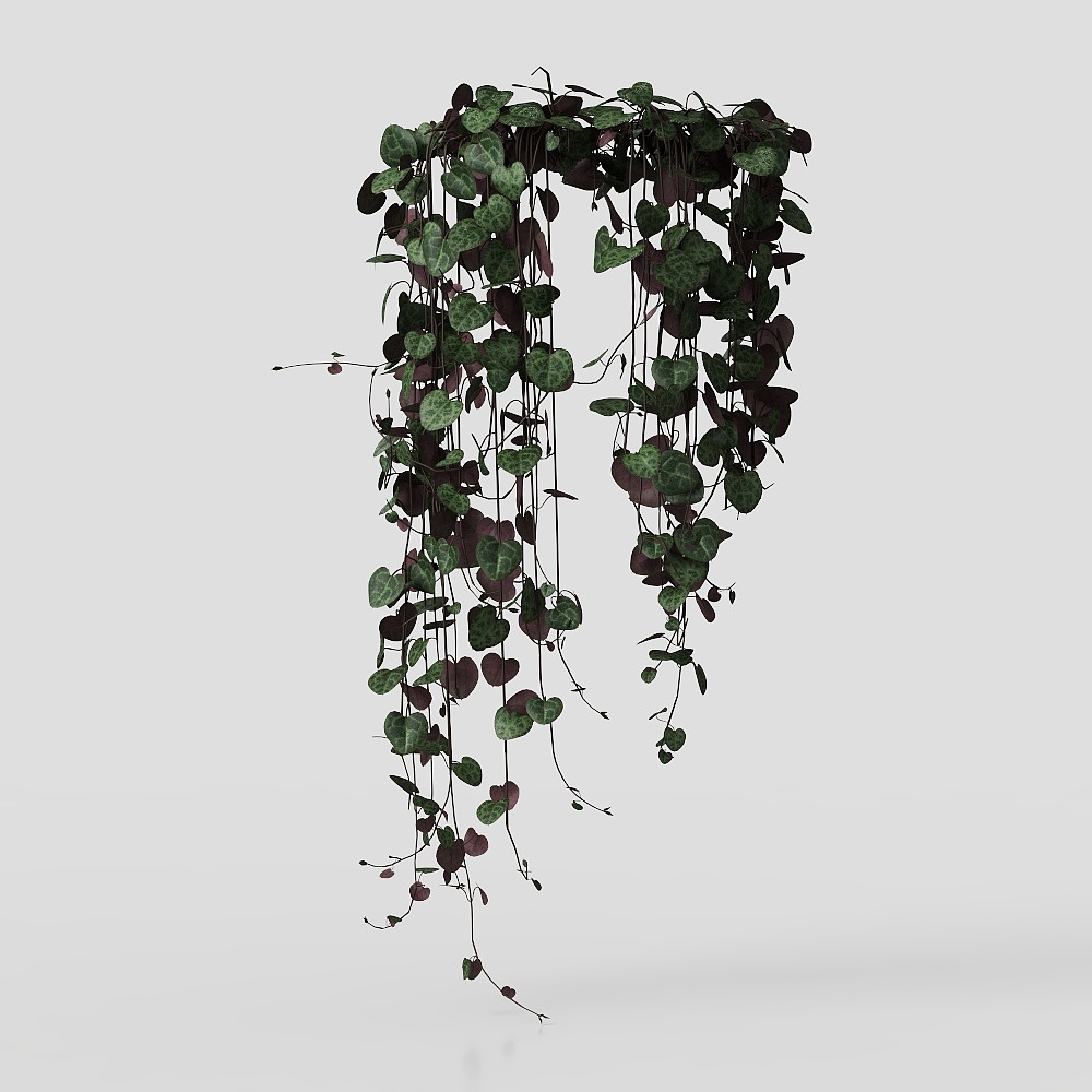 การปลูกพืช/กำแพงพืช