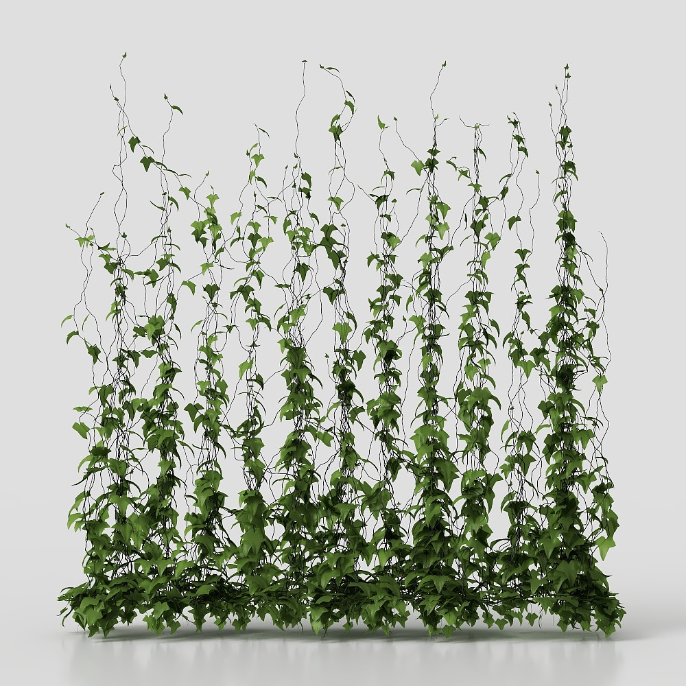 Vine Wall 3D Model – Realistic Green Foliage