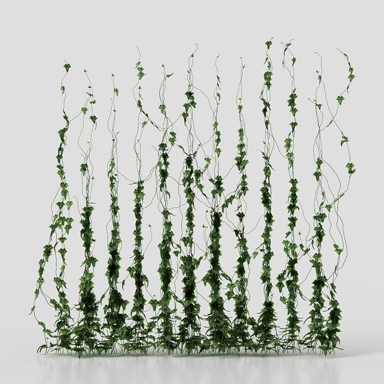 Vine Waterfall 3D model
