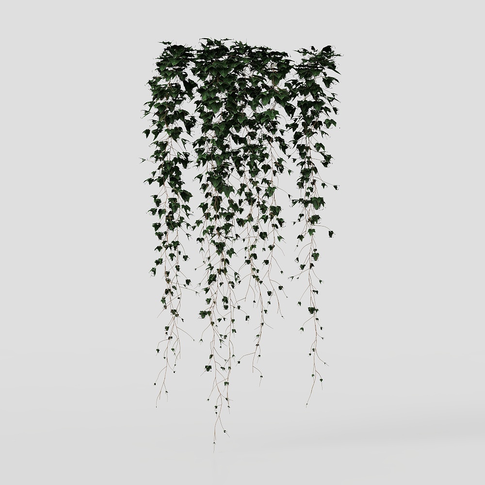 Plant shellwall