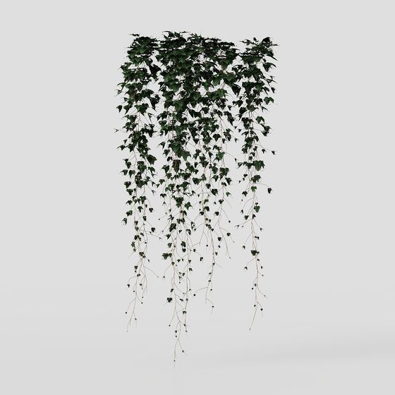Realistic Hanging Vines 3D model for Nature-Inspired Design