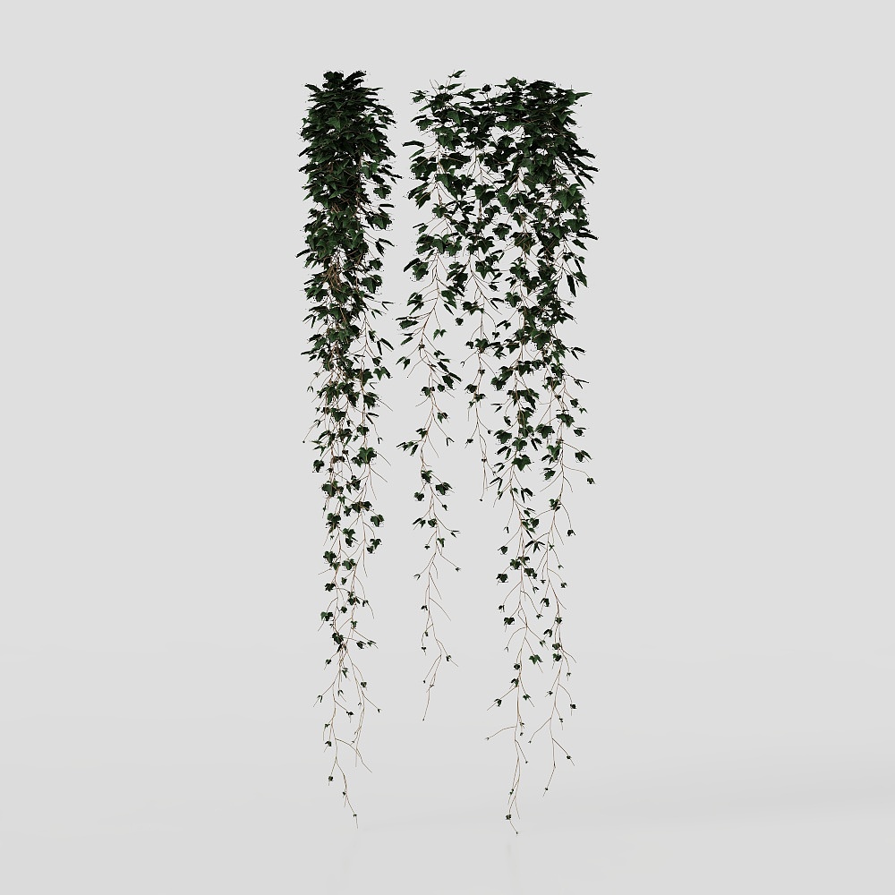 植物のシェルウォール